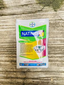 Fungisida Bayer NATIVO 75WG DARI BAYER INDONESIA