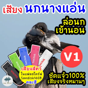 เสียงในกล่อมนอนนกนางแอ่น V1 เมม/แฟลชไดร์ฟเสียงนกนางแอ่นเสียงในกล่อมนอน มีเก็บเงินปลายทาง ชัดแจ๋ว100% ไม่มีโฆษณาแทรก (MP3เสียงเรียกนกนอน)