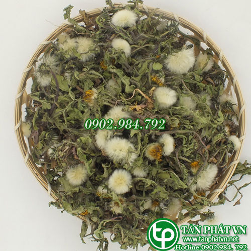 %5BHOT%5D%20L%C3%A1%20b%E1%BB%93%20c%C3%B4ng%20anh%20s%E1%BA%A5y%20kh%C3%B4%20T%E1%BA%A5n%20Ph%C3%A1t%201kg%20-%20Image%206