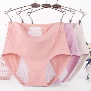 SHUNAICHI  Menstrual Underpants Plus Size Cotton Panties for Menstruation High Waist Leak Proof Physiological Period Pants XL-6XL Briefs