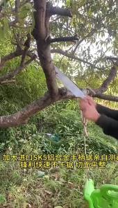 Garden Tools Hand Wood - Cutting Tools Extended Logging Saw Blades Quick Woodworking Tools Fine | Barangan Berkualiti Reka Bentuk Praktikal Mudah Guna