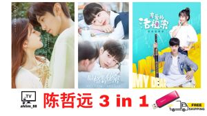 USB China Drama 4 in 1 偷偷藏不住 当我飞奔向你 暗格里的秘密 亲爱的活祖宗 华语中字 Chinese subtitle 陈哲远 青春甜宠剧 大陆剧