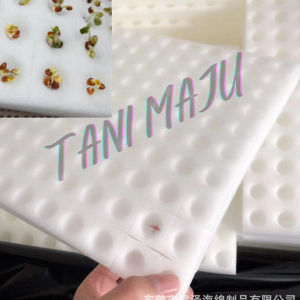 Penanaman Hidroponik Sponge 100 kiub dengan lubang untuk Benih Aquaponic Semai Benih Hidroponik Span percambaan/172