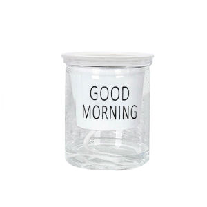 【High】quality self-priming succulent white transparent flowerpot office ornaments plants