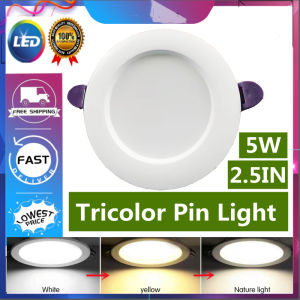 Buy 1 Take 1: Tricolor LED Pin Light & Indoor Spot Light