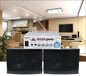 Home Karaoke System-Bluetooth 2CH 1000W Home Digital Amplifier Audio 110-240V Bass Amplifier Singing + 6.5inch Speaker Subwoofer Living Room Family KTV System /Dancing/Cinema support USB FM AUX 2MIC Home Theater System