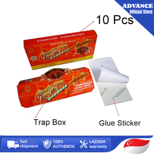 Cockroach Glue Trap Kit 10 Pack with Trap Box and Glue Stickers