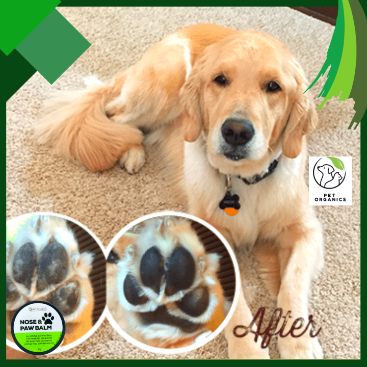 MAGNESIUM] Nose Paw Balm For Dogs All Natural Moisturizer