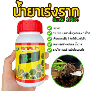 น้ํายาเร่งราก รูทสปา B-1 อินทรีย์ 100% กระตุ้นระบบรากให้ดูดซึมอาหารได้ดีขึ้น โตไว ใบเขียวเข้มขึ้น 250 ซีซี