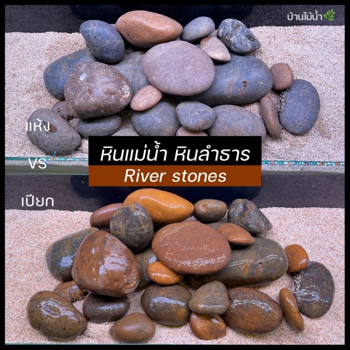 10 อันดับหินแม่น้ำยอดนิยมสำหรับตกแต่งสวนและตู้ปลา อัปเดตปี 2025