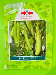 Benih Terong Hijau “HITAVI F1” ±1100 butir terbaik!!