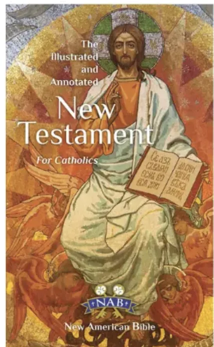 The Illustrated and Annotated New Testament for Catholics | Lazada PH