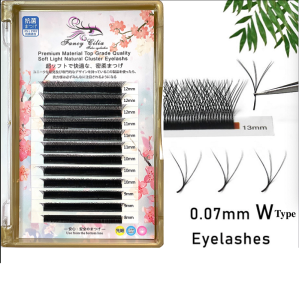 Praeclarus W type Eyelashes Curve CDDD Thickness 0.07mm tulip Mink eyelash extension 3D Premade Volume Fans Double tips W Shape Lashes