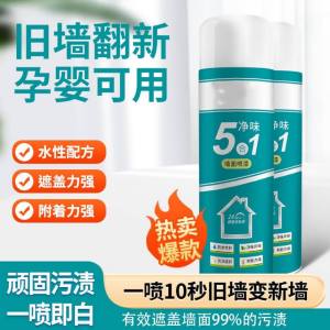 WE 3661 = 净味墙面喷漆 Odor-free wall spray paint ☞ 450ml