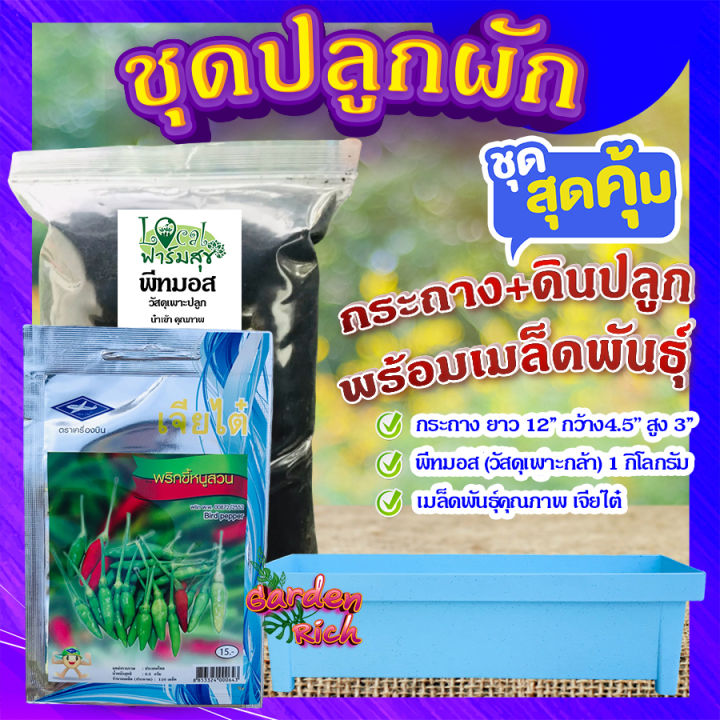 5 อันดับ พีทมอสและชุดปลูกผักสวนครัวน่าซื้อ อัปเดตปี 2025