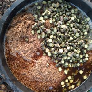 น้ำหมักไล่แมลง ผลิตจากมูลคอม ยาฉุน บอระเพ็ด ขนาด 1 ลิตร ไล่แมลงหนี ตัวอ่อนตาย ไข่ฝ่อ ต้นไม้ พืชผักสวยงาม