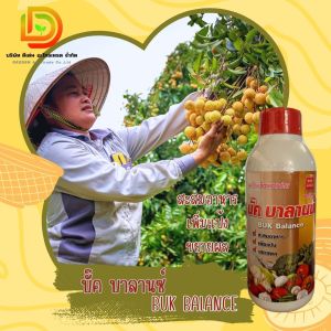 น้ำตาลทางด่วน (บั๊คบาลานซ์) เข้มข้น 1 ลิตร พลังงานทางด่วน โมโนแซคคาไรด์ ผสมกรดอะมิโน ปุ๋ยน้ำ ปุ๋ยทุเรียน ลดการหลุดร่วงของใบ และ ดอก