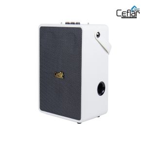 CEFLAR ลำโพง Bluetooth ไร้สาย ขนาดพกพา เสียงคุณภาพดี (M2)