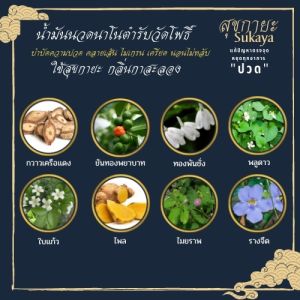 (ของแท้ 100%) พิเศษ 1 ขวด สุขกายะ Sukaya น้ำมันนวดเพื่อสุขภาพตำรับวัดโพธิ์ ขนาด 30 ml. 1 ขวด