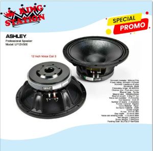 Speaker Ashley LF12V300 / LF12 V300 / LF 12V300 12inch ORIGINAL (SUPER)