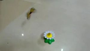 Rotating Cat Toy Fun and Smart Automatic Spinning Avian Butterfly and Fresh Cat Toy