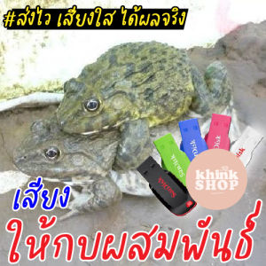 เสียงกบ เสียงฟ้าร้อง เปิดให้กบอยากผสมพันธุ์ แฟลชไดร์ฟเสียงกบ เสียงฟ้าร้อง เปิดให้กบอยากผสมพันธุ์ มีเก็บเงินปลายทาง