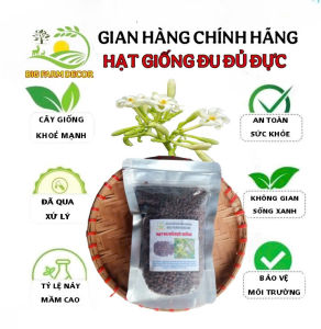 gói 100g hạt giống cây hoa đu đủ đực