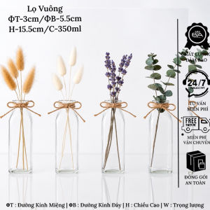 Bộ 4 Bình Hoa Thủy Tinh Trang Trí Vintage Thắt Dây Thừng Kiểu Dáng Vuông Eo Tam Giác Lục Giác Hiện Đại