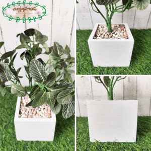 Tanaman Hias Artificial Daun Fittonia Hijau Tua Plastik Variasi Warna Pot Kayu Hiasan Meja Ruang Tamu