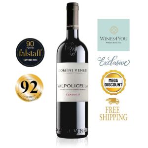 Domini Veneti Valpolicella DOC Classico Italy Red Wine