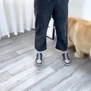 Chải Lông Chó tai bọc mềm tiếng ồn-proof earmuffs Pet Tai Bìa giảm tiếng ồn thính giác bảo vệ cho thú nuôi cún cưng Tai Bìa