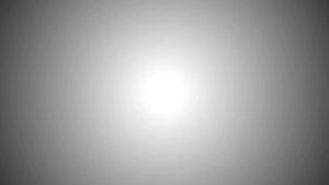 Jam Tangan Cowok Naviforce 9161 Original Rantai stainless steel Garansi resmi 1 tahun