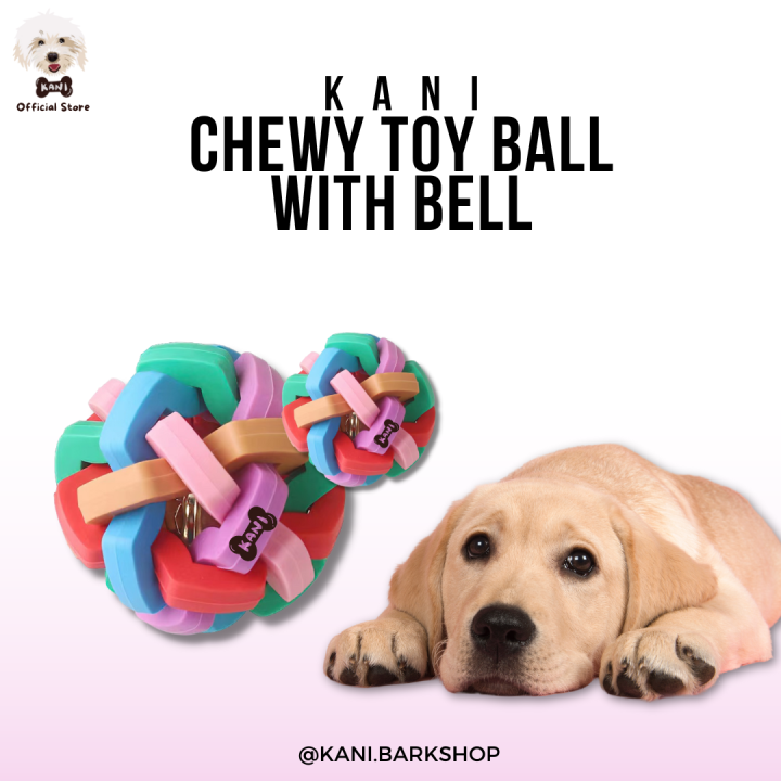 Pet Dog Toys Rainbow Ball with Bell Teeth Cleaning Training Chew