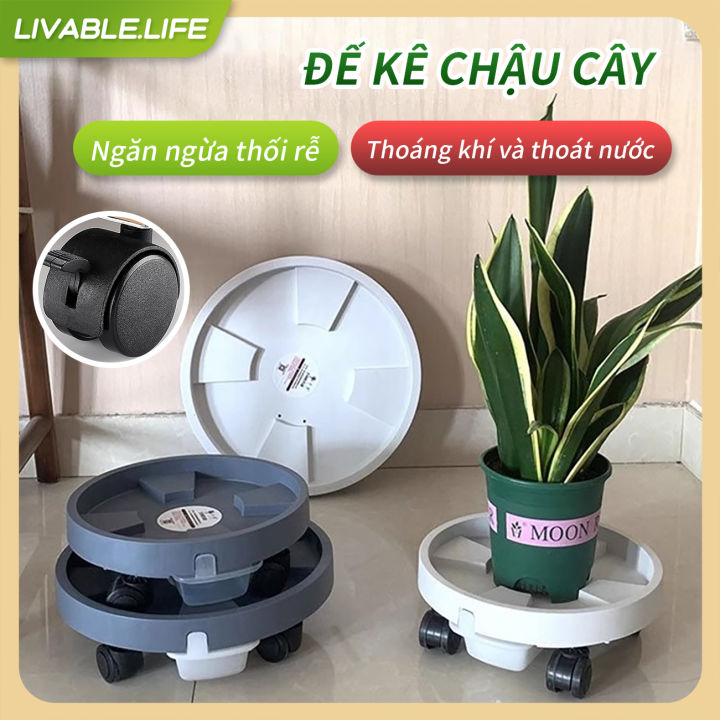 Đế kê chậu cây,bánh xe để chậu cây,ĐẾ ĐỂ CHẬU CÂY CÓ KHAY HỨNG NƯỚC ...