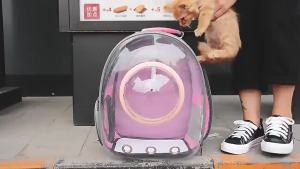 [OKLIFE. SG]Fully Transparent Cat Backpack Multiple Air Vents Breathable Space Capsule Puppy Kitten Outdoor Travel Bag