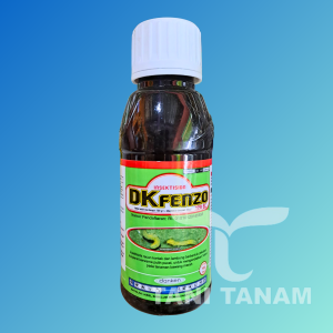 DKFENZO 120 SC INSEKTISIDA PENGENDALI HAMA ULAT GRAYAK BAWANG MERAH