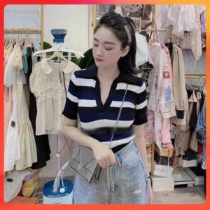 🔥[C115] Áo len thun Montoghi dệt kim QC cổ đức SỌC MÀU ĐỀU tay ngắn Quảng Châu - kholenqc