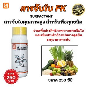 กำจัดเชื้อรา โรคใบไหม้ ใบจุด ในต้นข้าว แพนน่อน(แมนโคเซป) + สารจับใบ FK เพิ่มประสิทธิภาพการดูดซึม