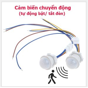 Cảm Biến Chuyển Động Nhiều Loại PIR AM312 HC SR501 SR602 SR505 5V 12V 24V 220V