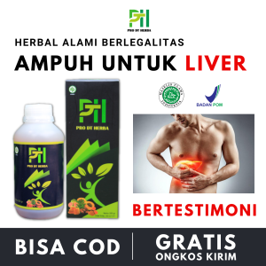 Obat liver perut bengkak sembuh tanpa operasi herbal hepatitis A B C D E alternatif pengobatan penyakit kuning paling ampuh PRO DT Herba ORI alami