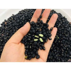 Đậu Đen Xanh Lòng Loại 1 Hạt Nhỏ Thuần Chủng Hữu Cơ 100% Tự Nhiên.Túi 300G.500G.1Kg||HAMIFOODS