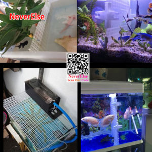 aquarium cover Fishtank Divider 30*15cm aquarium divider plasticaquarium tank top coveraquarium accessories Mesh grille grid tank isolation Boardprotective Cover top lidfishtank divider tank divider holder aquariumliter gallon aquarium divider clip