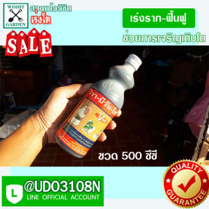 วีว่า เร่งการเจริญเติปโต ฟื้นฟูต้นไม้ทรุทโทรม หรือโตช้า มีสองขนาดให้เลือก ขนาดบรรจุ 100 ซีซี และ 500 ซีซี