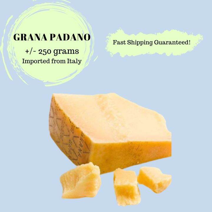 Grana Padano Parmesan Cheese 60g 125g 250g From Italy Lazada Ph 1280