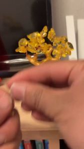 Yellow Crystal Money Tree Money Bag Treasure Bowl Lucky Tree Home Office Decor Pokok Duit 招财树