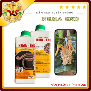 Ngừa Tuyến Trùng Hại Rễ - Chế Phẩm Nâm Săn Tuyến Trùng - TKS NEMA - Chai 1 lít