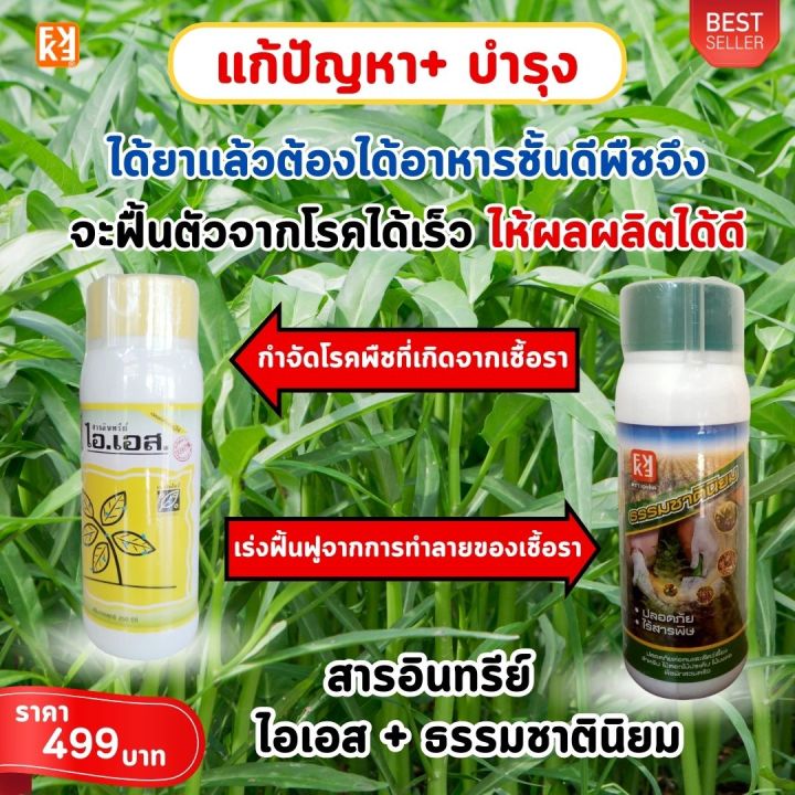 %E0%B8%9C%E0%B8%B1%E0%B8%81%E0%B8%9A%E0%B8%B8%E0%B9%89%E0%B8%87%20%E0%B9%83%E0%B8%9A%E0%B8%88%E0%B8%B8%E0%B8%94%20%E0%B8%A3%E0%B8%B2%E0%B8%AA%E0%B8%99%E0%B8%B4%E0%B8%A1%E0%B8%82%E0%B8%B2%E0%B8%A7%20%E0%B8%A3%E0%B8%B2%E0%B8%99%E0%B9%89%E0%B8%B3%E0%B8%84%E0%B9%89%E0%B8%B2%E0%B8%87%20%E0%B8%A3%E0%B8%B2%E0%B8%81%E0%B9%80%E0%B8%99%E0%B9%88%E0%B8%B2%20%E0%B9%82%E0%B8%A3%E0%B8%84%E0%B8%A3%E0%B8%B2%E0%B8%95%E0%B9%88%E0%B8%B2%E0%B8%87%E0%B9%86%20%E0%B8%9B%E0%B9%89%E0%B8%AD%E0%B8%87%E0%B8%81%E0%B8%B1%E0%B8%99%E0%B8%81%E0%B8%B3%E0%B8%88%E0%B8%B1%E0%B8%94%E0%B8%94%E0%B9%89%E0%B8%A7%E0%B8%A2%20%E0%B9%84%E0%B8%AD%E0%B9%80%E0%B8%AD%E0%B8%AA%20%E0%B9%81%E0%B8%A5%E0%B8%B0%E0%B9%80%E0%B8%A3%E0%B9%88%E0%B8%87%E0%B8%9F%E0%B8%B7%E0%B9%89%E0%B8%99%E0%B8%9F%E0%B8%B9%20%E0%B8%94%E0%B9%89%E0%B8%A7%E0%B8%A2%20%E0%B8%9B%E0%B8%B8%E0%B9%8B%E0%B8%A2%20FK-T%20-%20Image%204