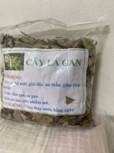 Cây lá gan (1kg) thảo dược giải độc gan men gan cao gan nhiễm mỡ xơ gan lợi mật vàng mắt vàng da các vấn đề về gan