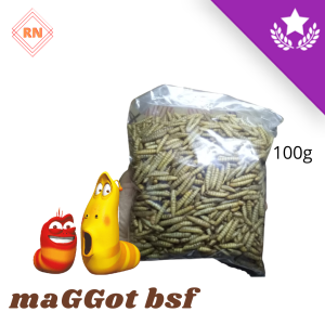 MAGGOT KERING BSF OVEN MAGGOT KERING PAKAN IKAN CHANNA MAGGOT 100GR