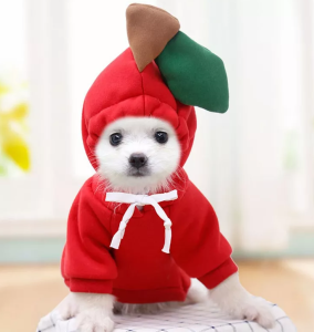 Cute Fruits and Vegetables Design Clothes For Pets Dog Cat Hoodie Clothes  Polyester Pet Clothes Costumes